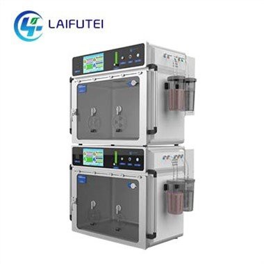 UTI Médica Para Cães